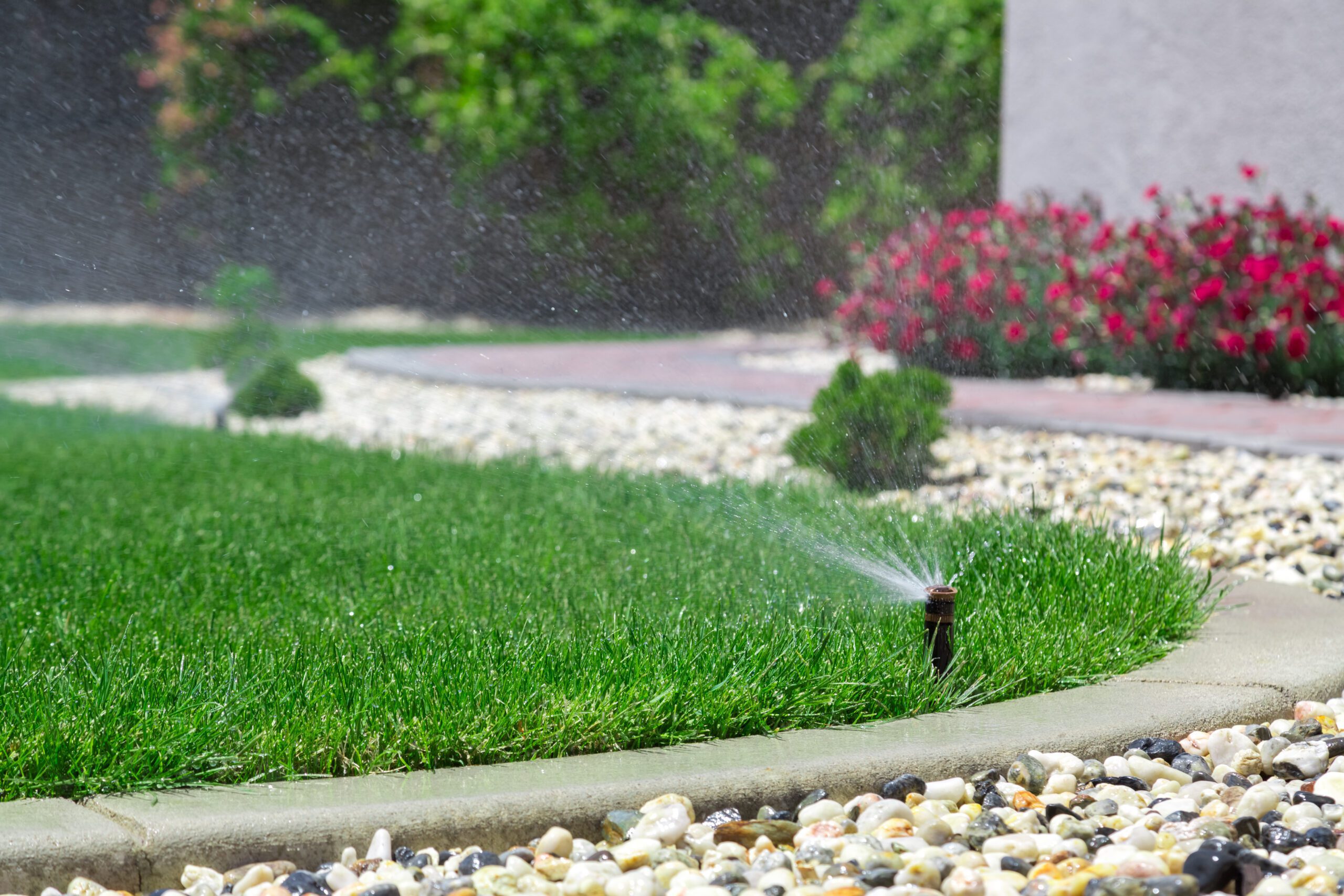 Why rainy weather is good for gardens and bad for lawns – Houston