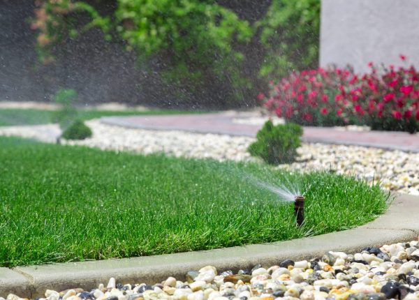 Sprinkler watering grass